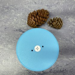 Petal Pededstal Bowl 1