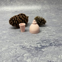 ModulForm � S Form 5