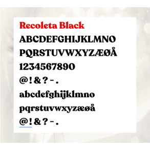 Recoleta Black Store