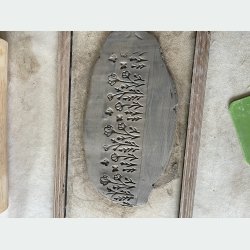 Strukturvalse 3 - Wildflower